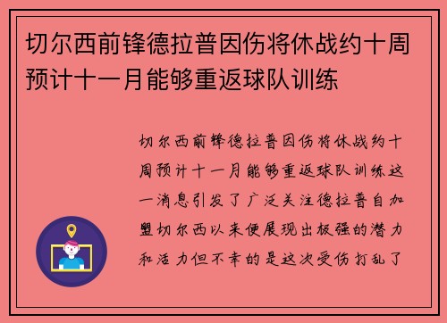 切尔西前锋德拉普因伤将休战约十周预计十一月能够重返球队训练